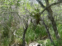 P1240072
