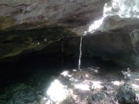 P1240088