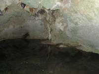 P1240089