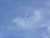 P1240100
