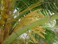 P1240106