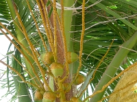 P1240107