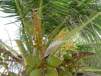 P1240108