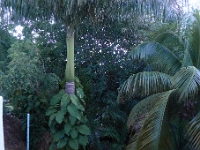 P1240118