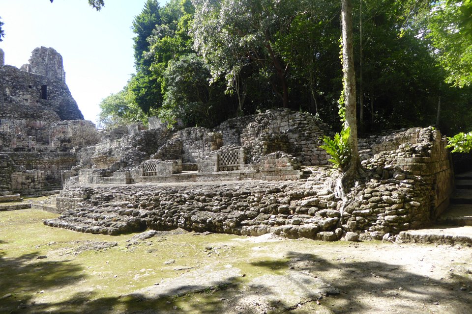P1030043