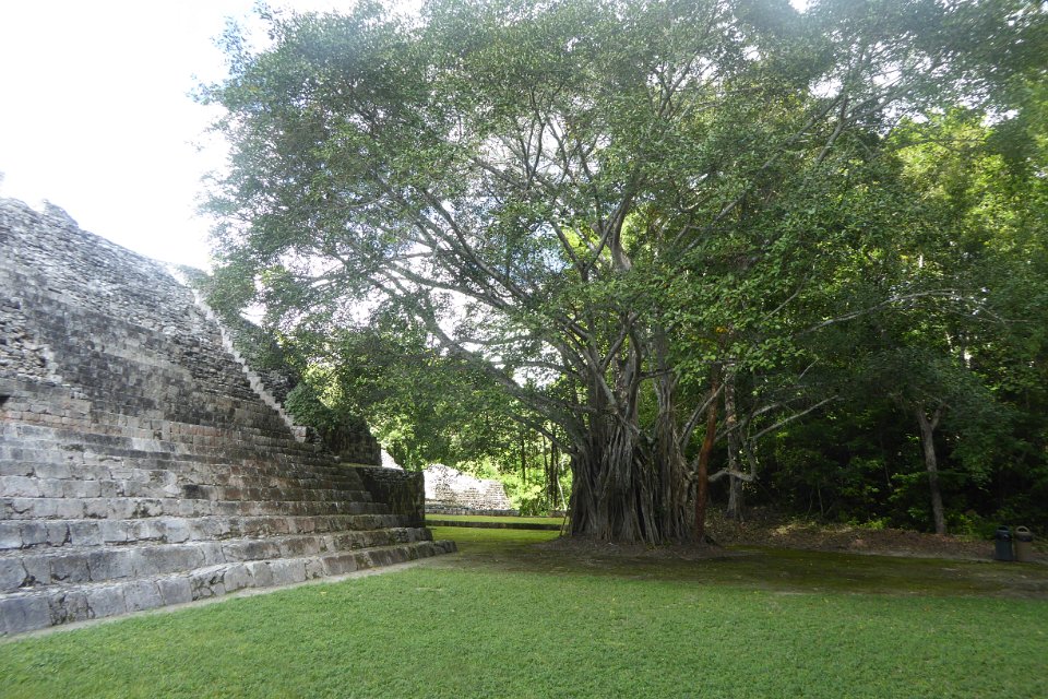 P1030063