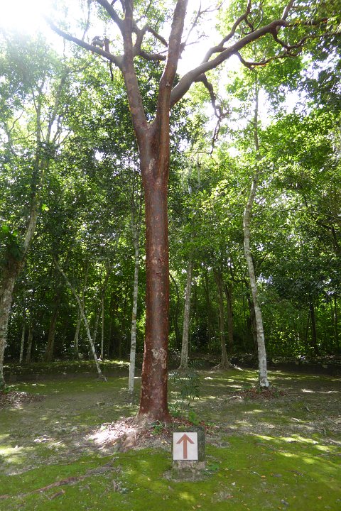 P1030079
