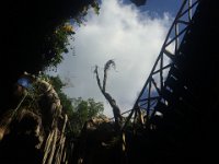 IMG 4199