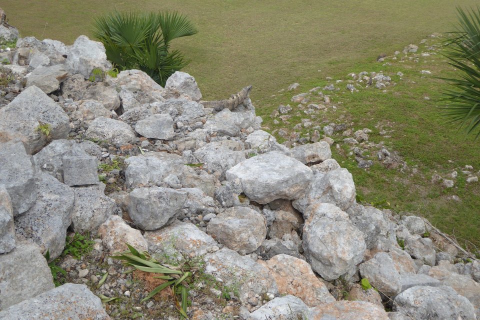 P1030488