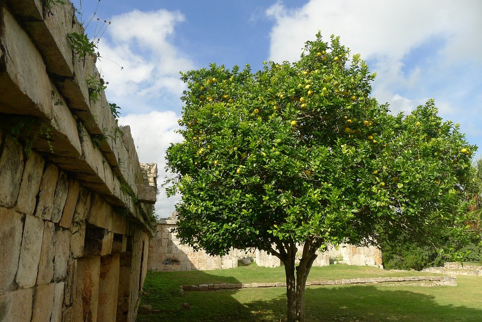 P1240975
