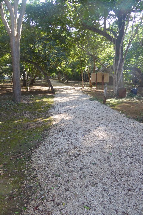 P1030382