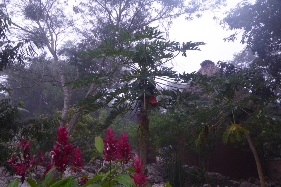P1030412