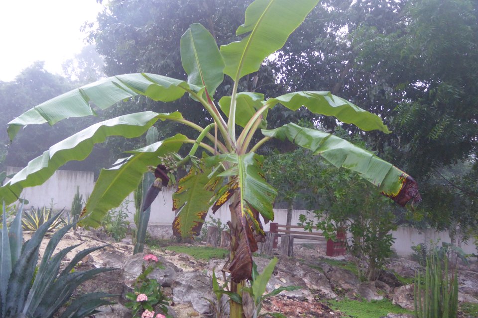P1030416