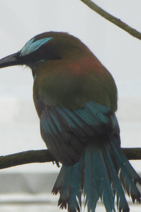 P1030438