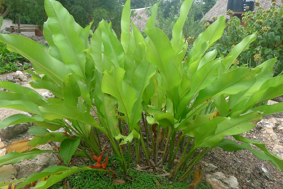P1240869