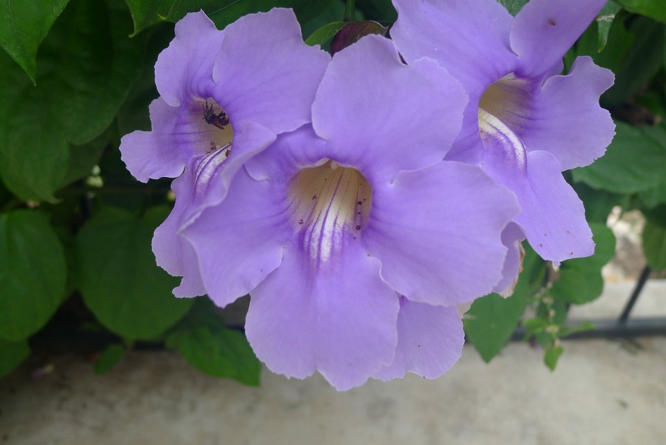 P1240871