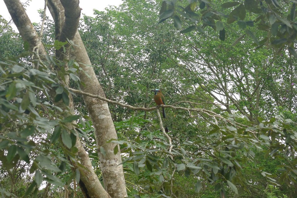 P1240881