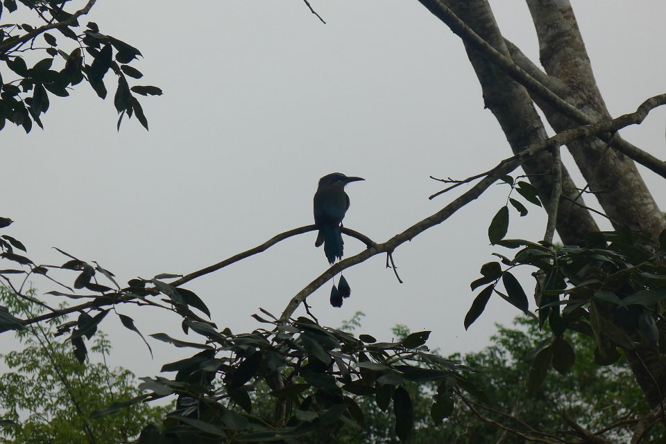 P1240887