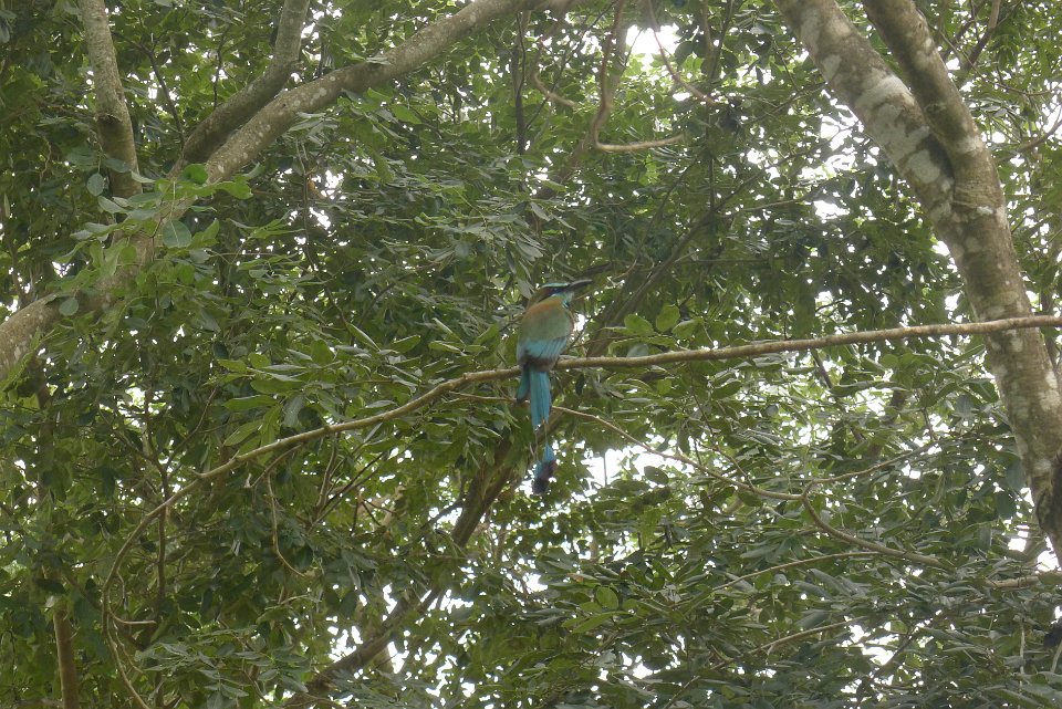 P1240889