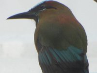 P1030439