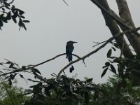 P1240887
