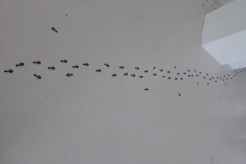 P1030608