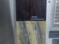 P1030573