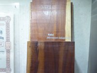 P1030574