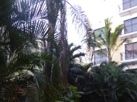 P1030625