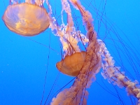 P1050105