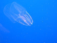 P1050108