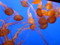 P1290085
