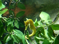 P1290098