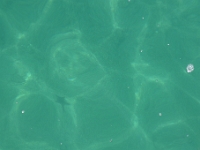 P1270308