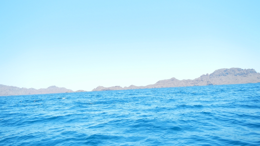 DSCN4977