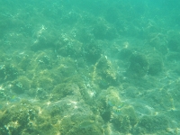 DSCN4922