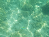 DSCN4924