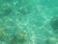 DSCN4925