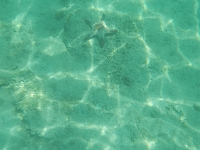 DSCN4926