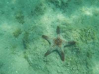 DSCN4927