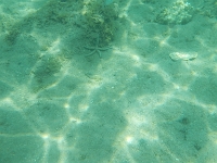 DSCN4928