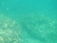 DSCN4935