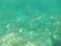 DSCN4941