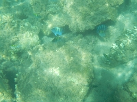 DSCN4943