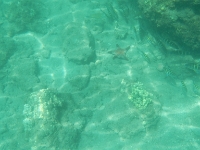 DSCN4956