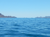 DSCN4972