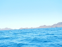 DSCN4977