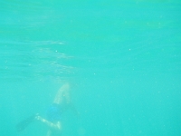DSCN4993