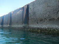 DSCN5012