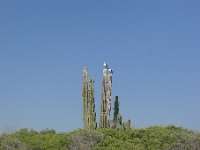 P1270423
